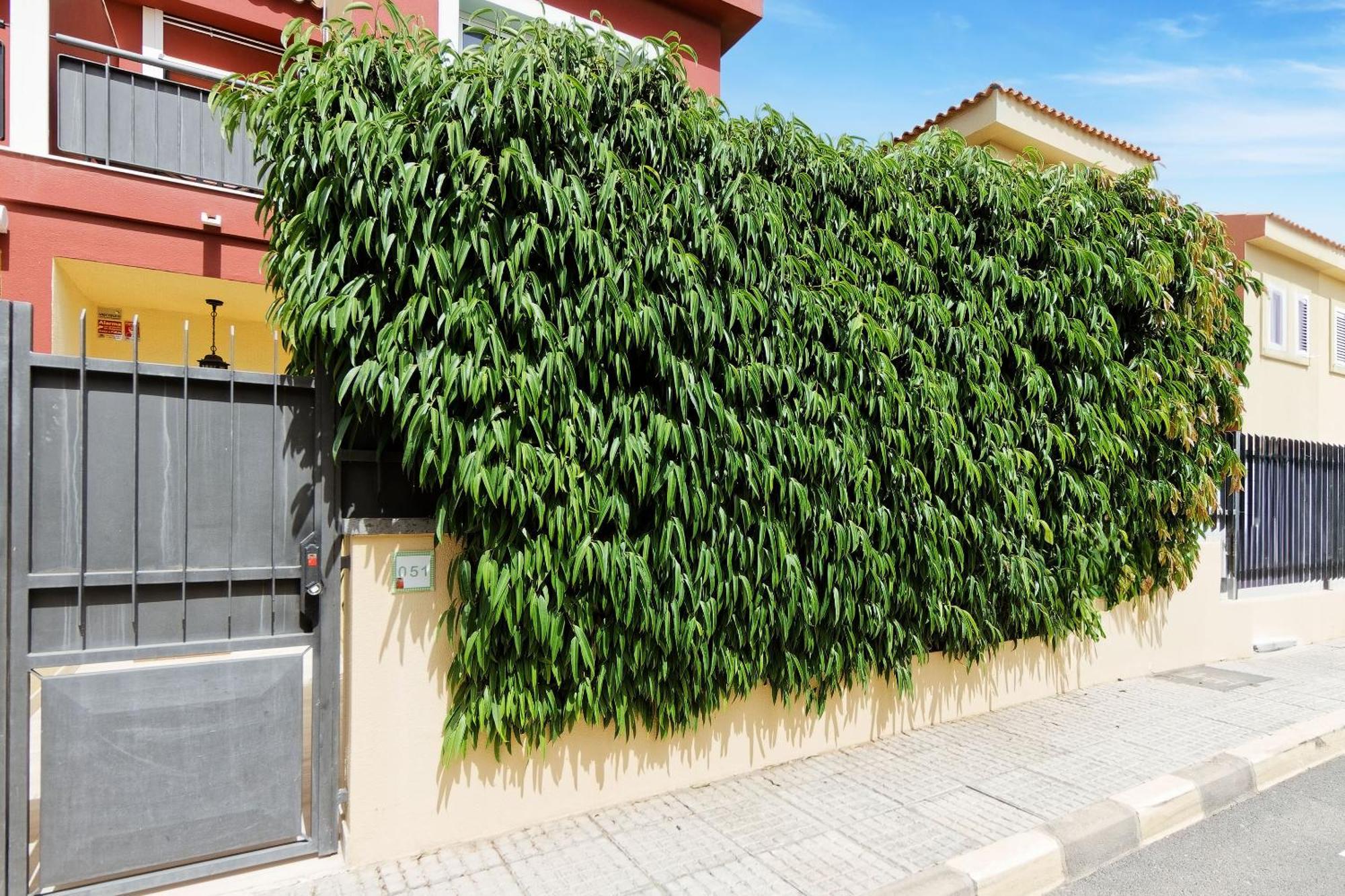 Villa Anil Meloneras San Bartolomé Exterior foto