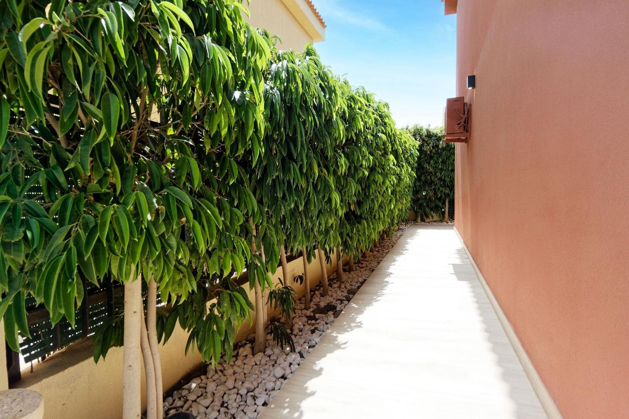 Villa Anil Meloneras San Bartolomé Exterior foto